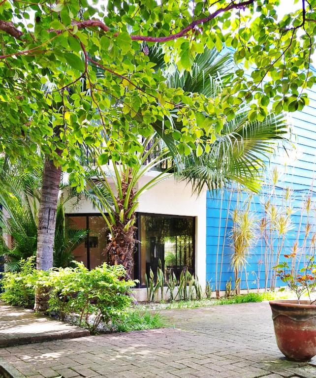 a building with trees and plants in front of it at Casa Milo in Managua