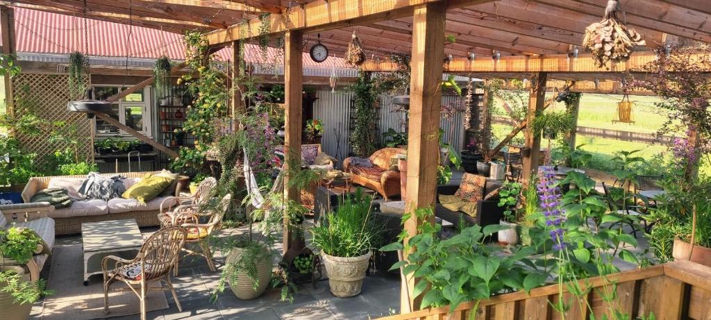 a patio with a lot of plants in it at The Old School House - Gaulverjaskoli in Gaulverjabær