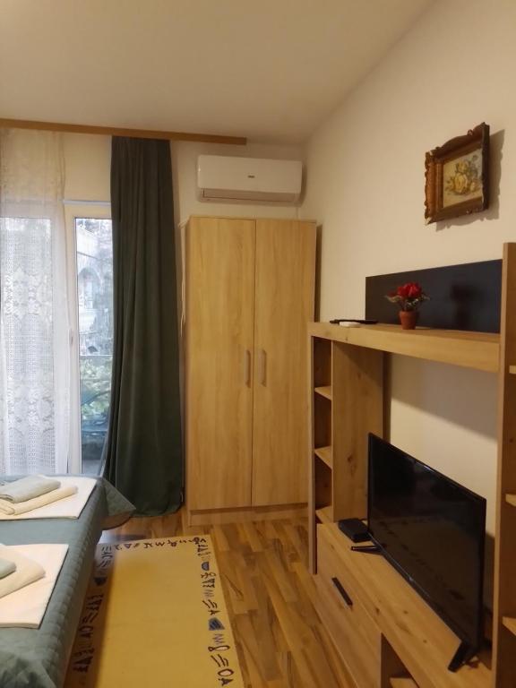 a small room with a bed and a television at Nada Apartman in Lastva
