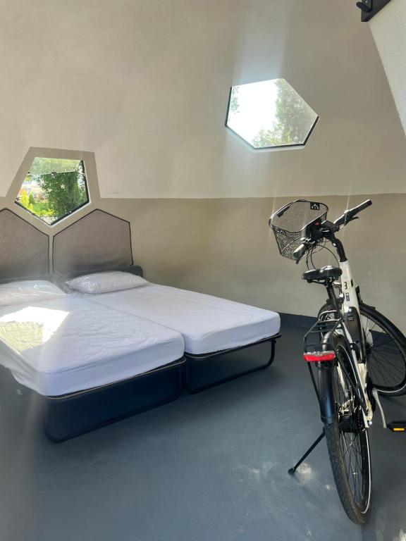 a bed and a bicycle in a room with two windows at triDOMESFRANCE in Saverne