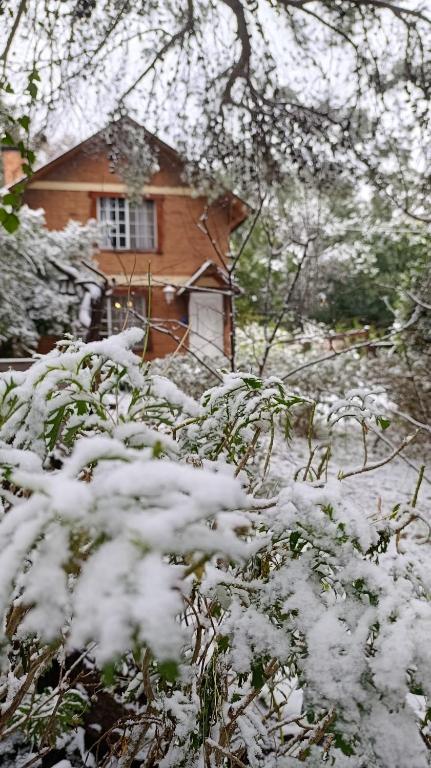 a snow covered bush in front of a house at Cabañas Rayun in Villa Ventana