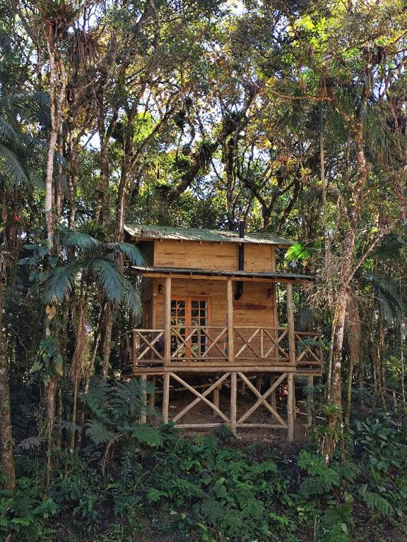 a small wooden house in the middle of trees at sítio Refúgio do Barro Branco in São Pedro de Alcântara