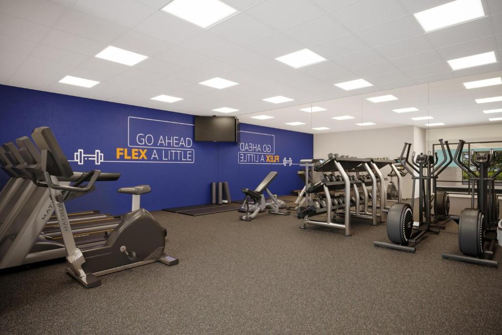 a gym with several treadmills and cardio machines at Holiday Inn Express & Suites Elgin - Chicago Northwest in Elgin