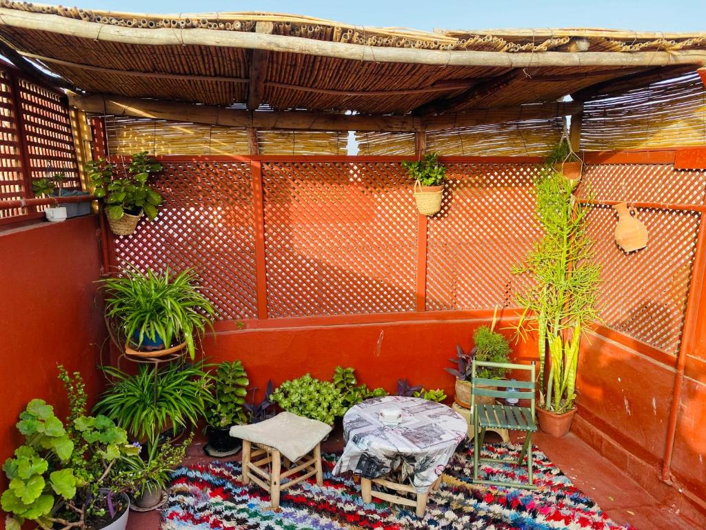 Κήπος έξω από το Hollakitemorroco surf house