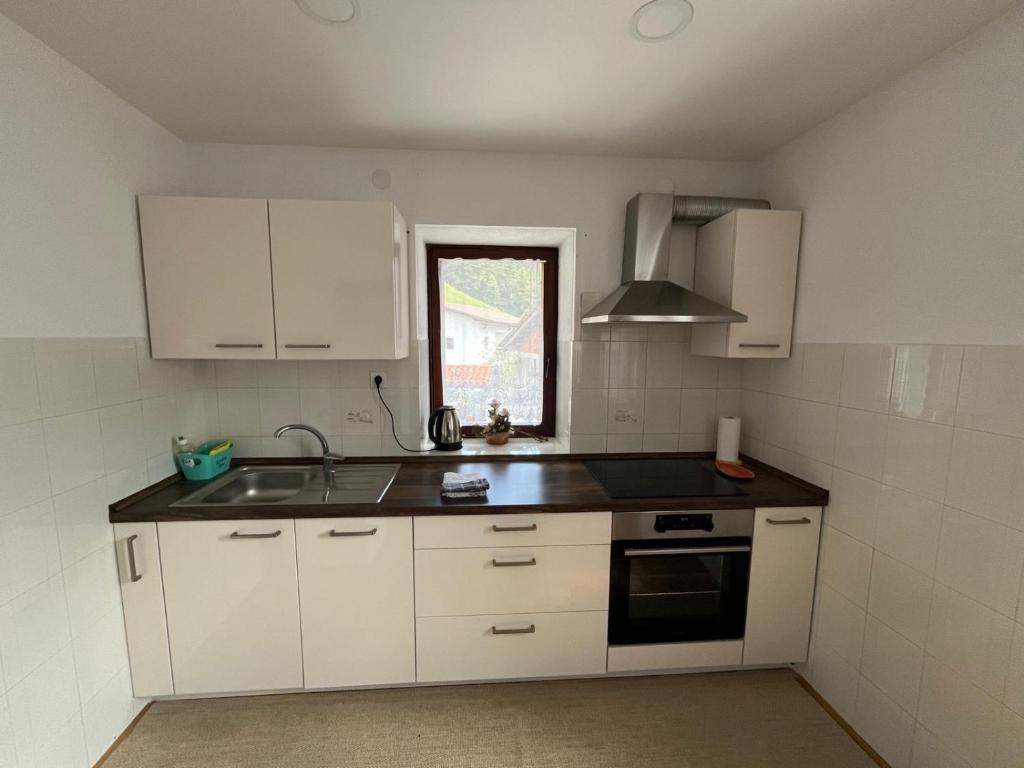 Η κουζίνα ή μικρή κουζίνα στο Apartma Zdar