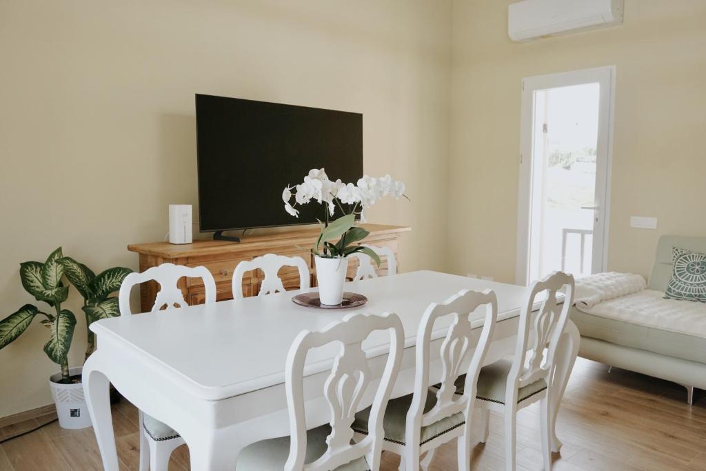 Μια τηλεόραση ή/και κέντρο ψυχαγωγίας στο Appartamento VerdeVigna