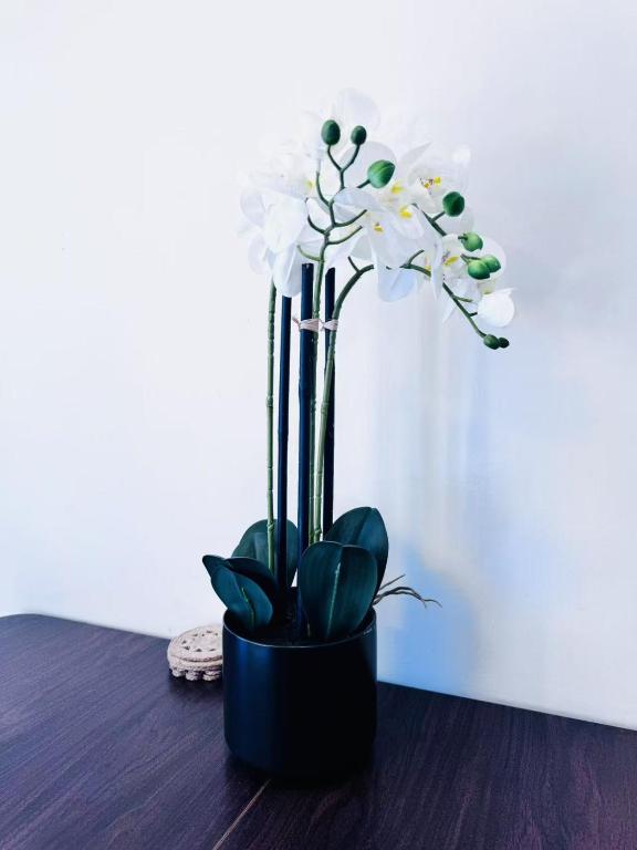 Merivale Court Family Suit - Resim 42