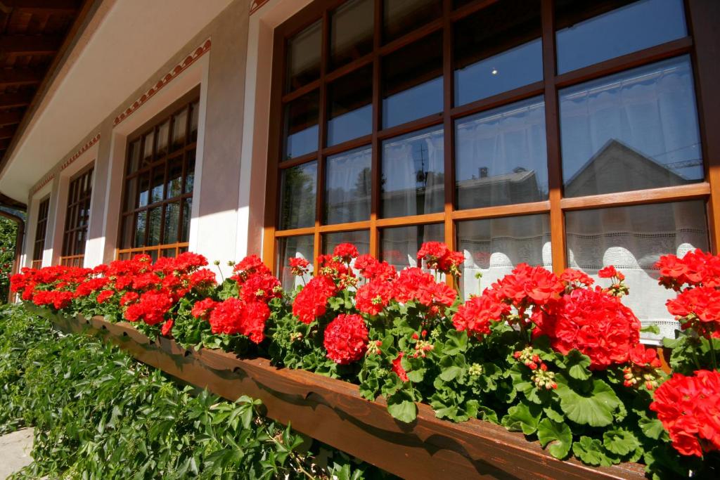 Zahrada ubytování Hotel Villa Monica