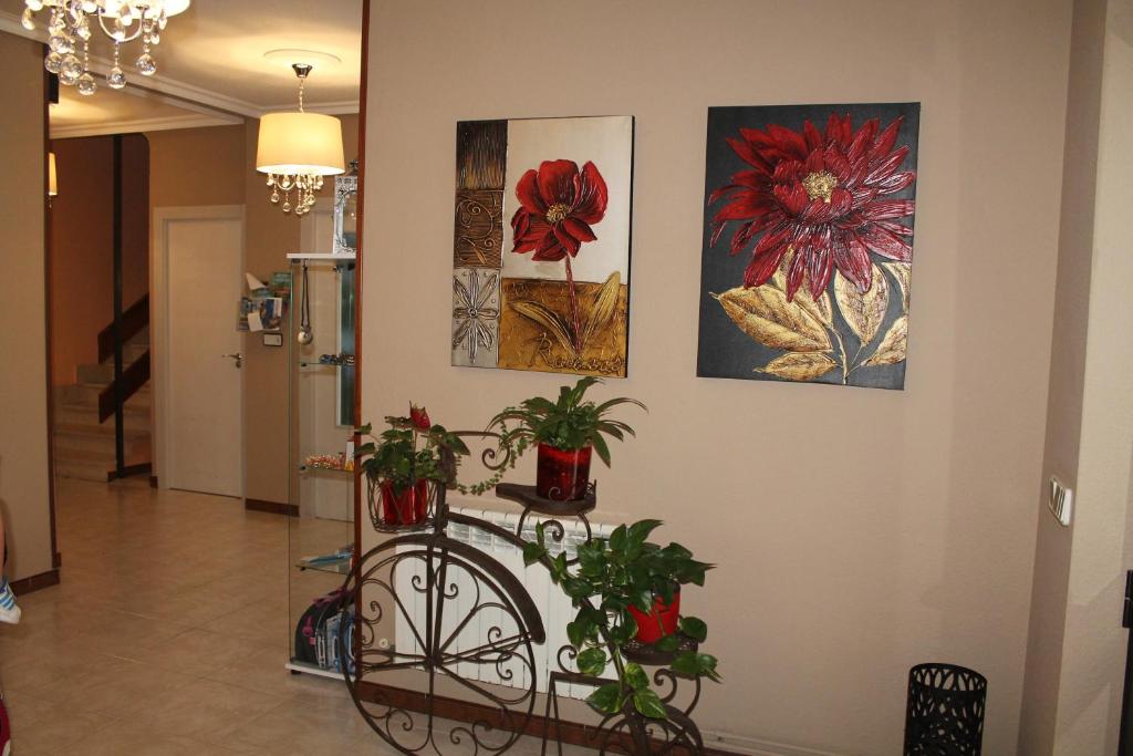 Fotografie z fotogalerie ubytování La Flor de Quejo v destinaci Isla