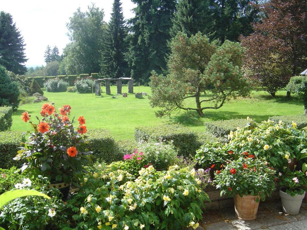 Zahrada ubytování Hotel Wilhelmshöhe Auderath