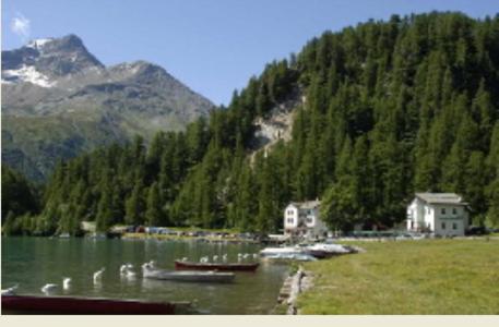 a lake with houses and boats in the middle of a mountain at Hotel Cristallina in Sils Maria