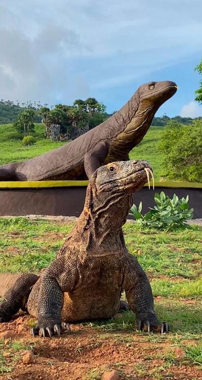 Bram Komodo Homestay - Budget-Doppelzimmer