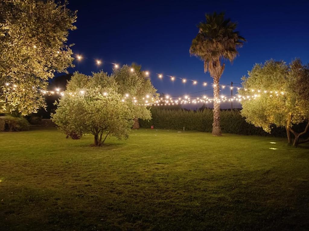 マルタにあるAgriturismo La Vita è Bellaのヤシの木とライトで照らされた庭