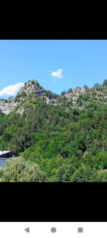 a view of a mountain with trees on it at Apartament Catrys in Brezoi