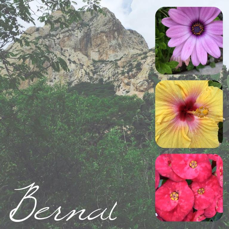 Fotografie z fotogalerie ubytování Hotel Mariazel v destinaci Bernal