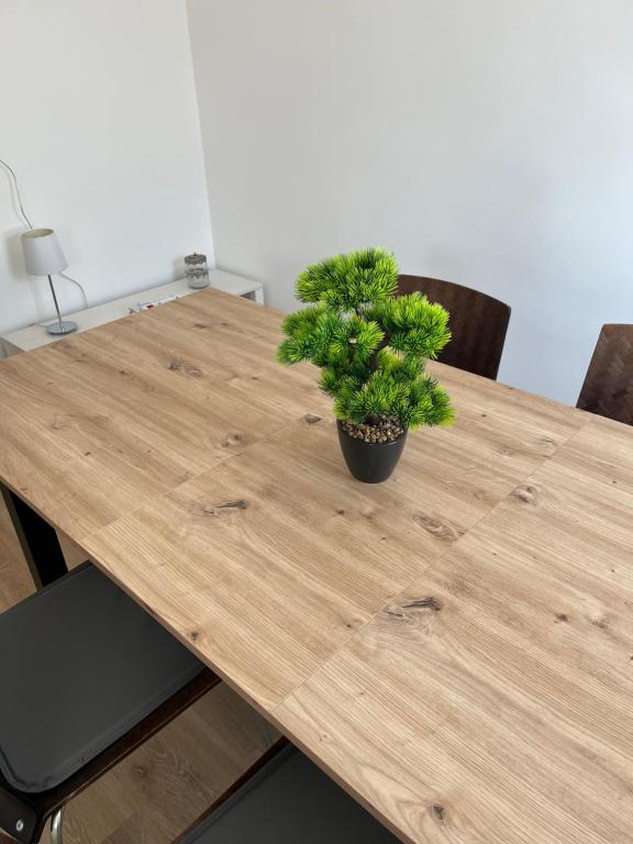 a wooden table with a potted plant on it at Gemütliches Apartment mit Smart-TV und WLAN in Hamm Mark in Hamm