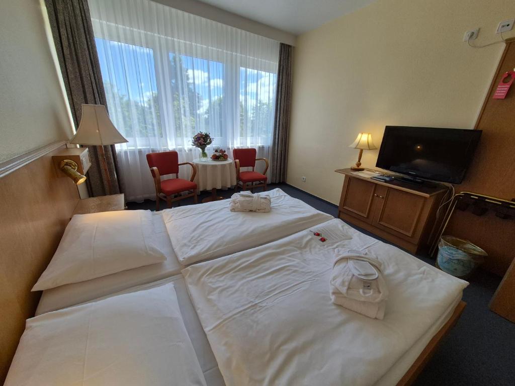 Panorama Hotel Oberwiesenthal im Erzgebirge - Chambre Double
