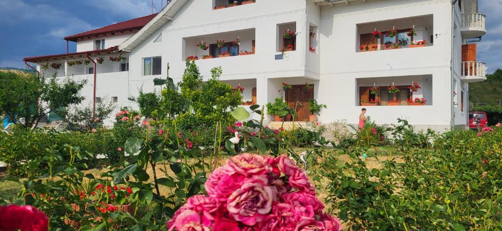 a house with a pink flower in front of it at Pensiunea Ela Novaci in Novaci