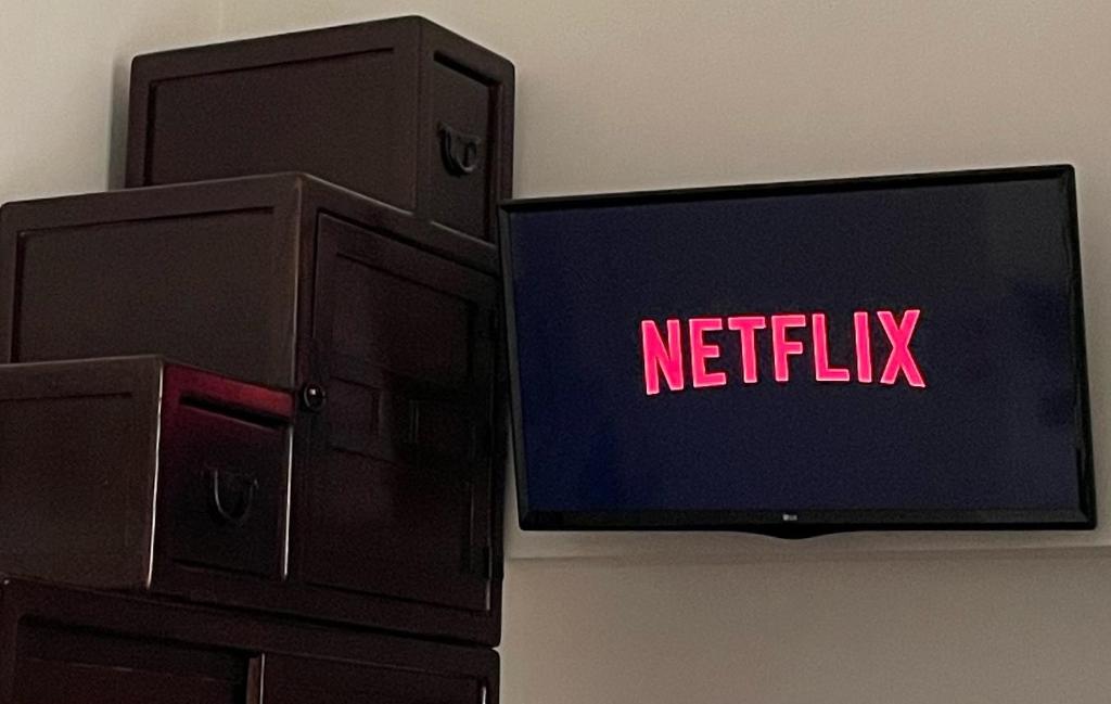 Lovely Terrace Apartment - 13