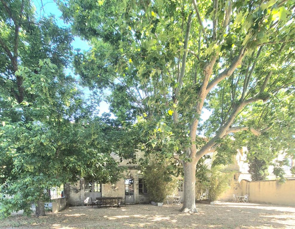 Ein Garten an der Unterkunft Le Mas de Lucas