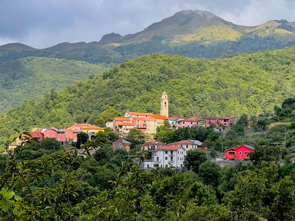 Priroda u blizini hotela