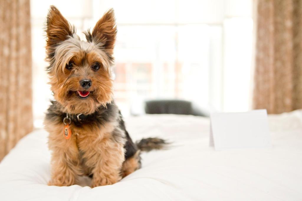 Hope Street Hotel - Resim 40