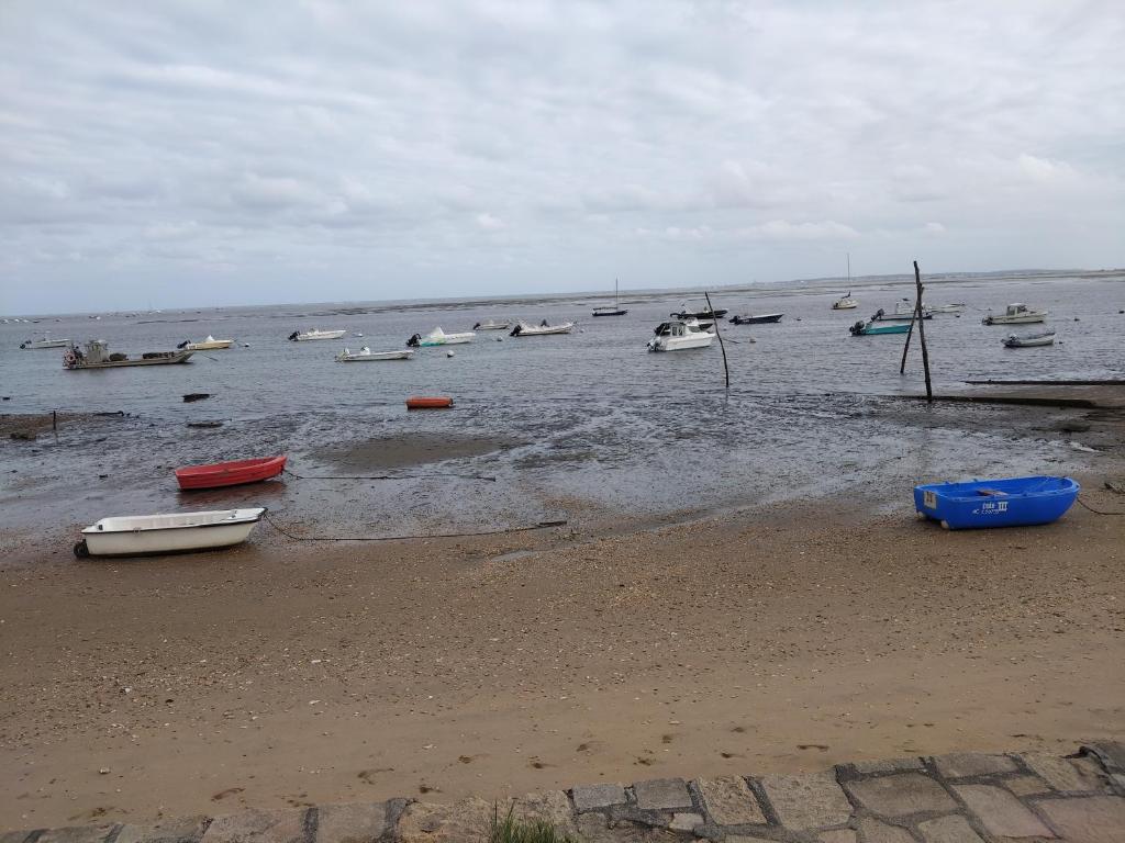 un groupe de bateaux dans l'eau sur une plage dans l'établissement Mobil home le Sunny, à Lège-Cap-Ferret