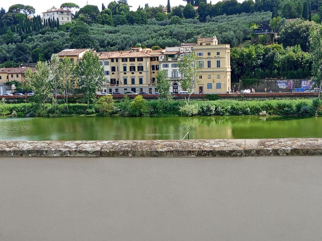 LE RÊVE DE NAIM Firenze - Resim 5