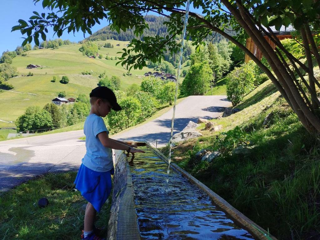 Photo de la galerie de l'établissement Chalet réçent pour 15 pers. avec wifi et parking à Arêches-Beaufort - FR-1-342-310, à Beaufort