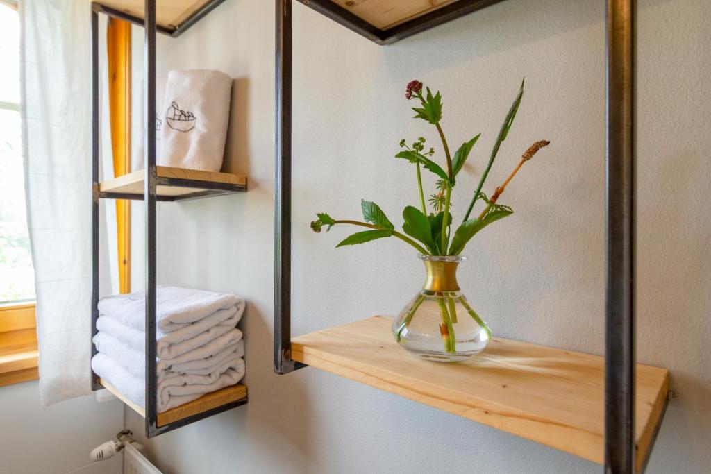 Leśniczówka u Zięby - 8