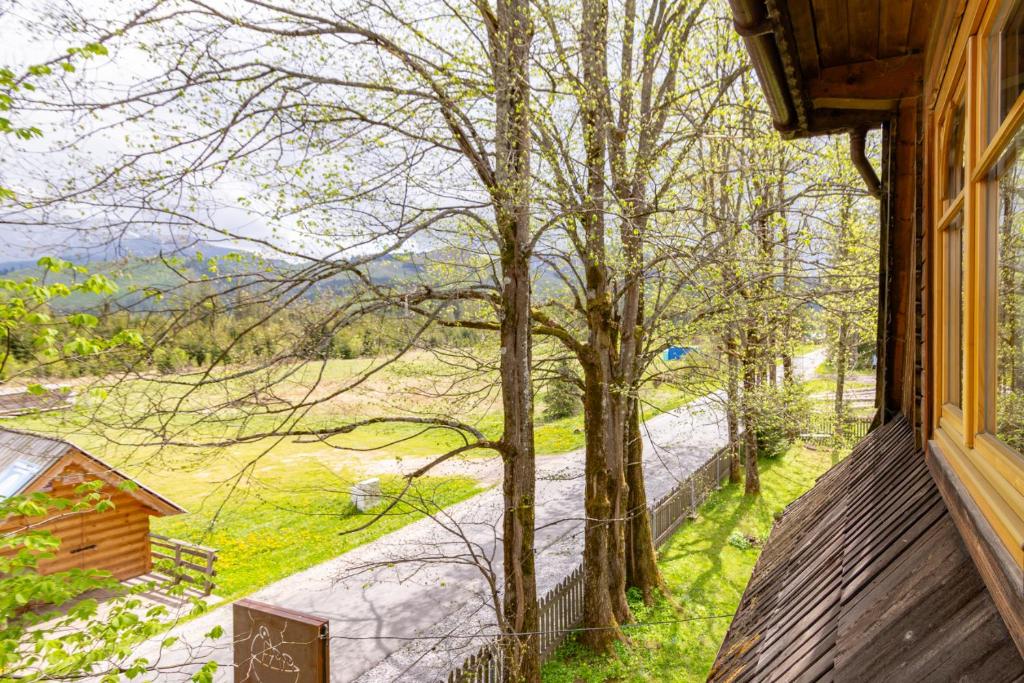 Leśniczówka u Zięby - 11