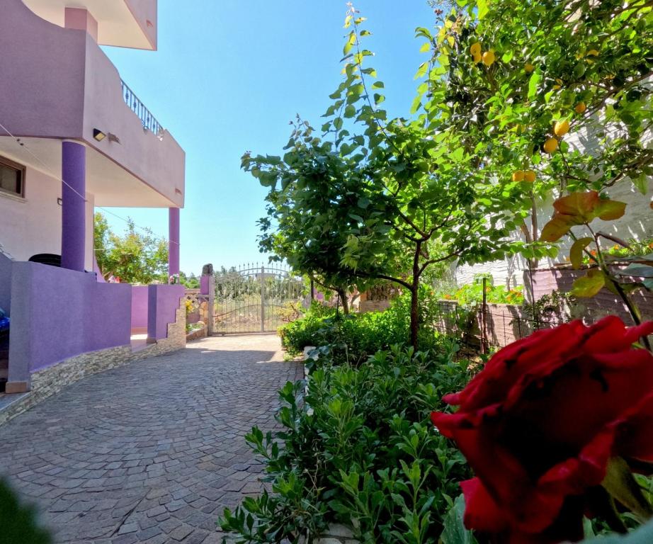 Zahrada ubytování Casa Purple