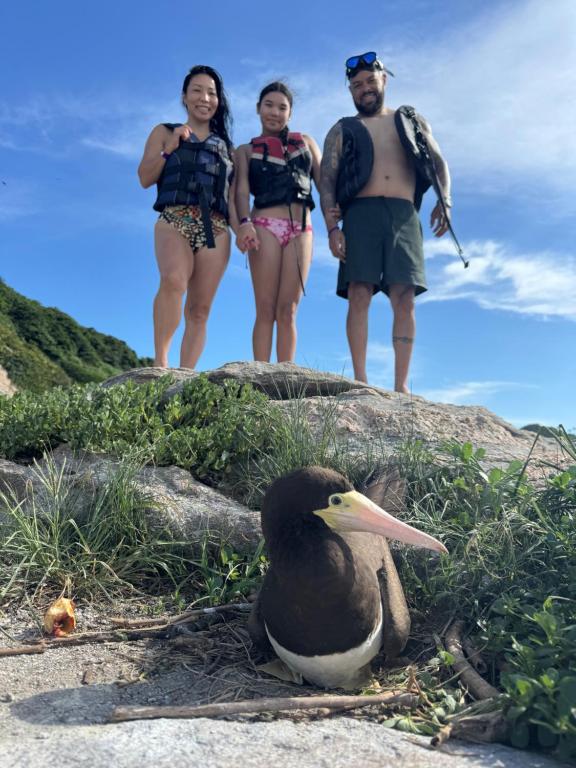 Gæster der bor på Passeio exclusivo de lancha