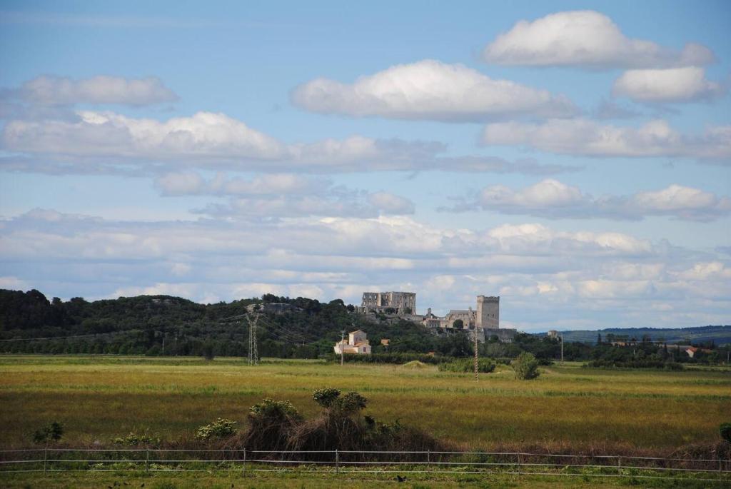 ein Feld mit einem großen Gebäude in der Ferne in der Unterkunft Le Mas de Lucas in Arles