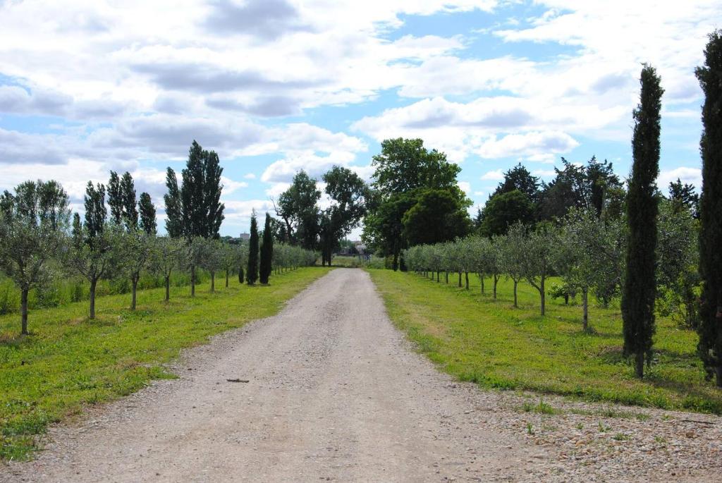 Naturlandschaft in der Nähe des Ferienhauses