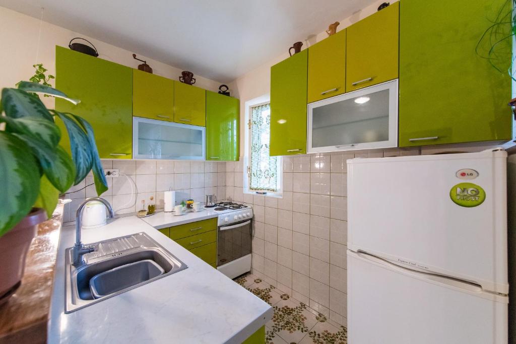 Kuchyň nebo kuchyňský kout v ubytování Apartment Ciba