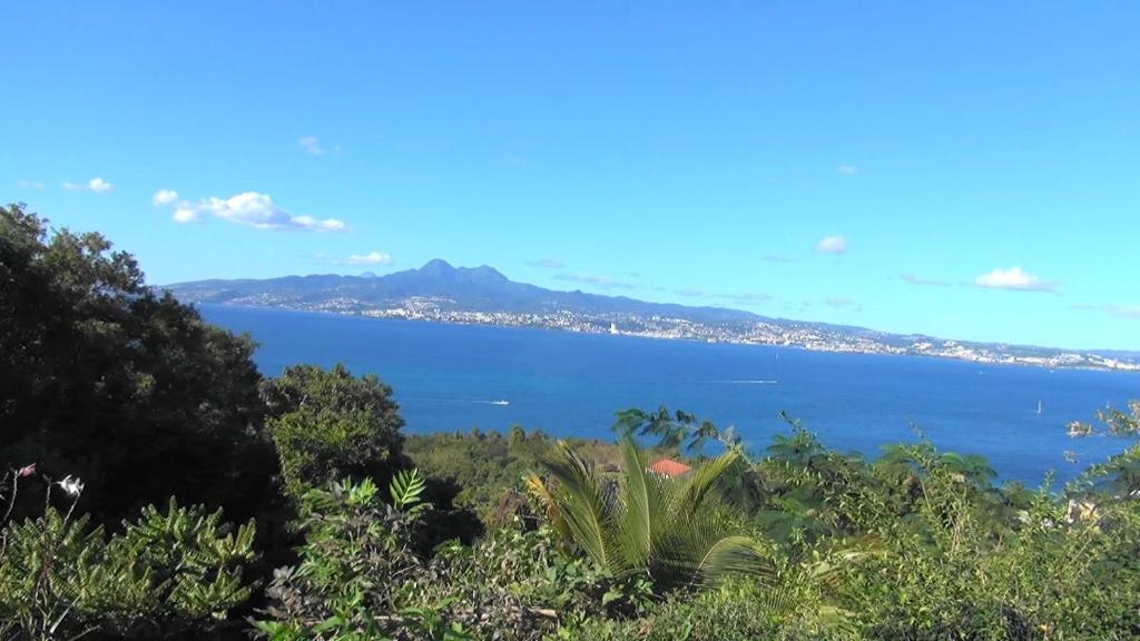 a view of a large body of water at Appartement vue paradisiaque in Quartiers Anse à lʼÂne