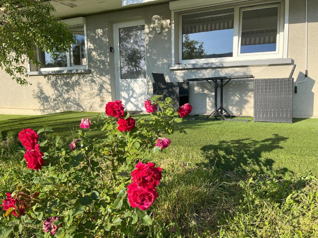 Un grupo de rosas rojas delante de una casa. en La Petite Baratte, en Beure