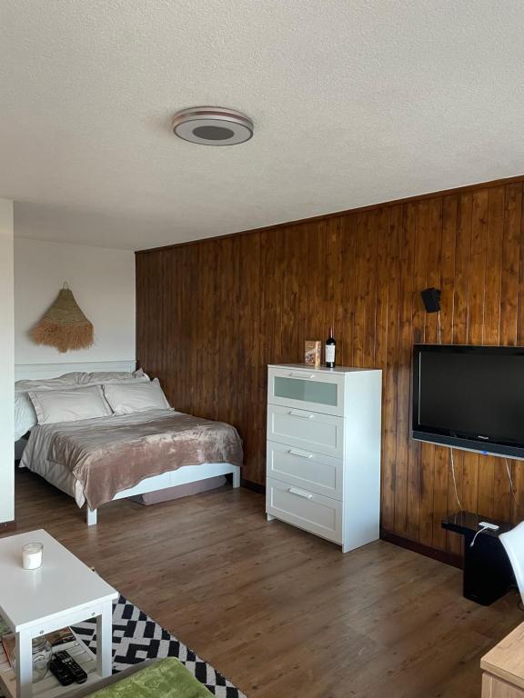 Ski-in Ski-out 4, mountain view - Resim 2