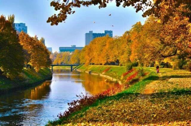 een rivier in een park naast een stad bij Premium Apartment Vilsonovo in Sarajevo