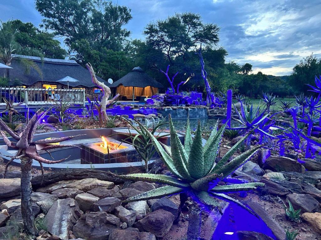 un giardino con cactus e un braciere con fiori blu di Sambane Game Lodge a Bracondale