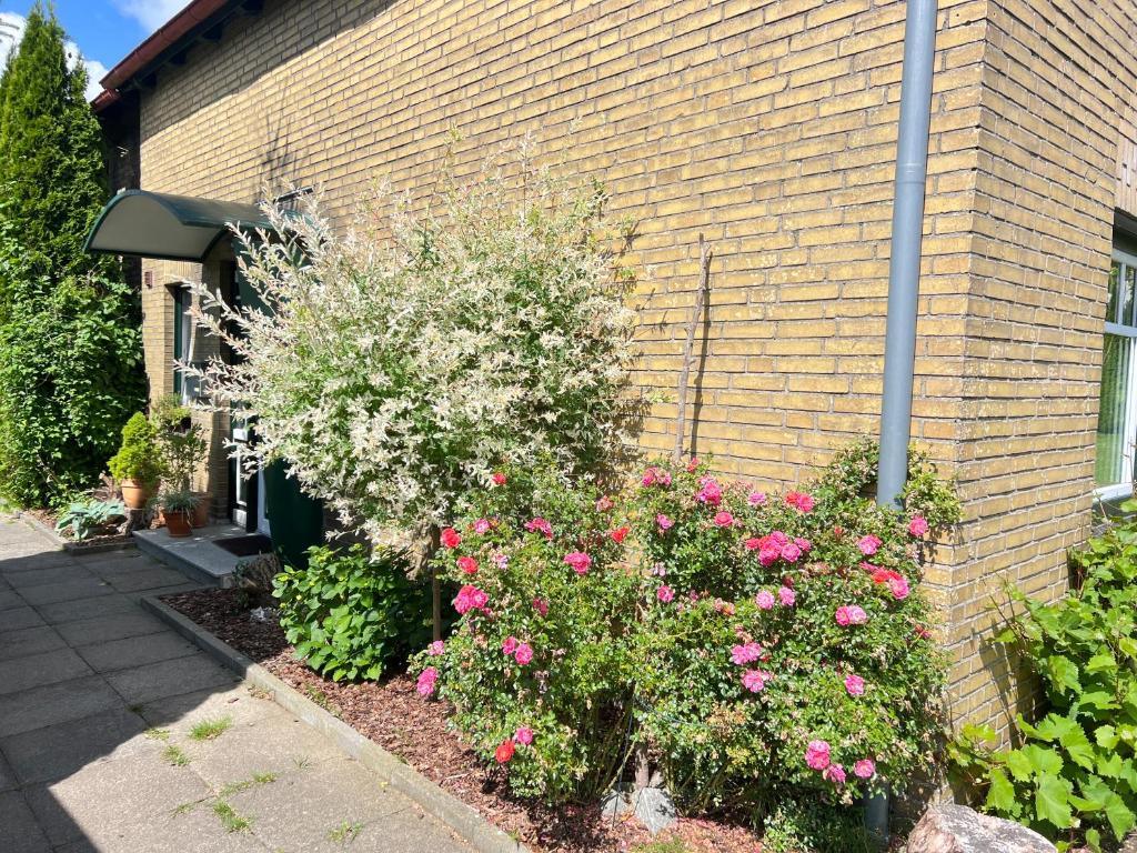 a garden with pink flowers in front of a building at FeWo Zwischen Nord- und Ostsee in Dörpstedt