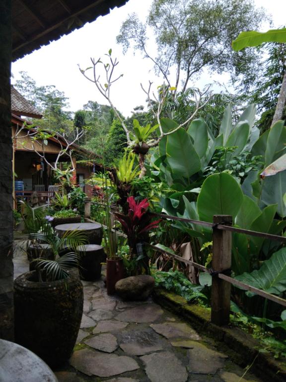 a garden with a bunch of plants at Umah mimpi in Tampaksiring