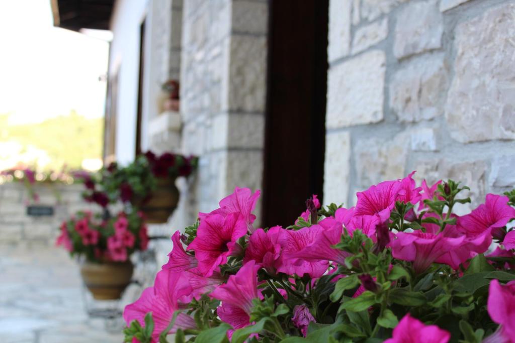 Giardino di Hotel Vila Aleksander