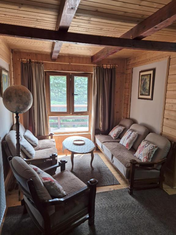 Art Apartments Minic - 10