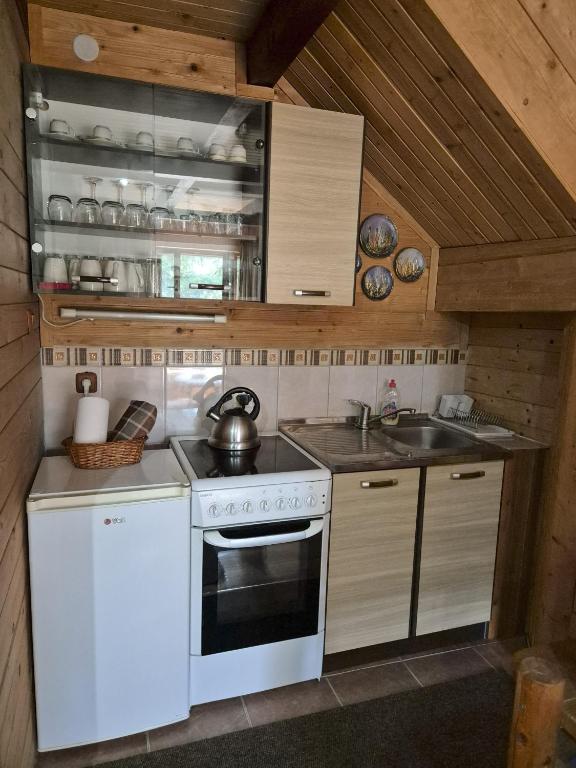 Art Apartments Minic - 13