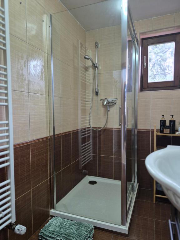 a bathroom with a shower and a sink at OTILIA apartment in Zell am See