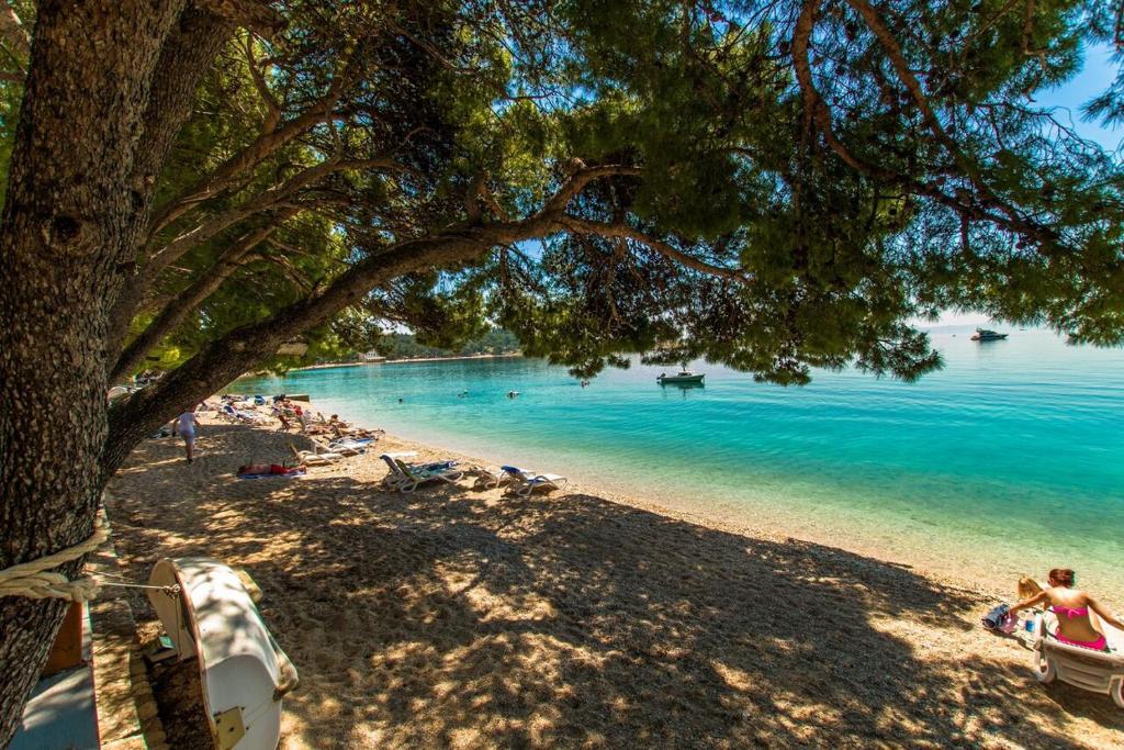Fotografia z galérie ubytovania Vila Niko v destinácii Makarska