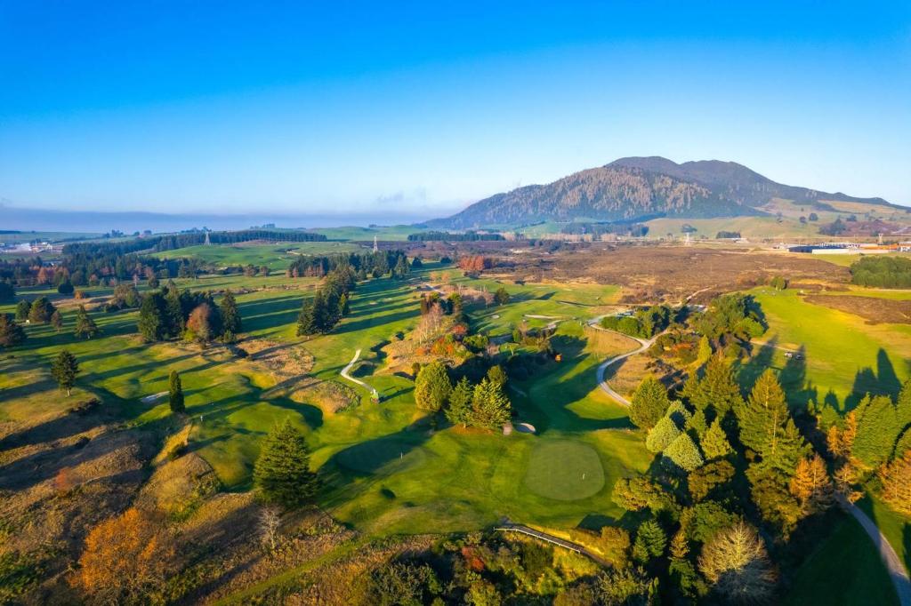 The Shoe Box - Resim 16