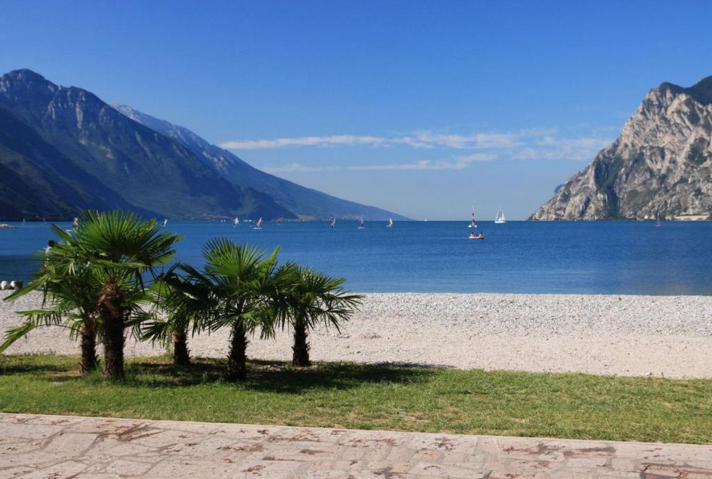 two palm trees on a beach near the water at Home OKSY in Cavalcaselle